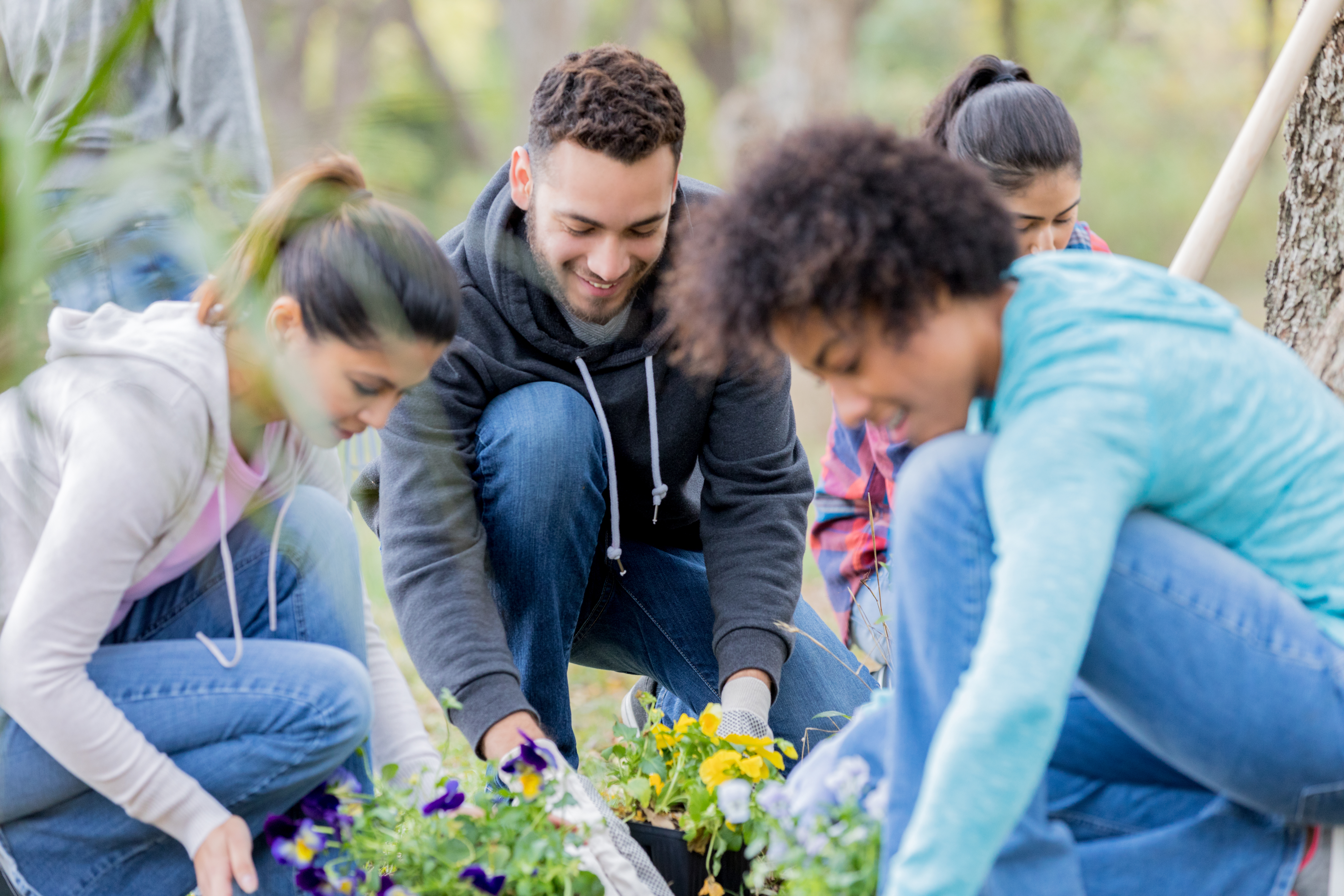 Group of community cleanup volunteers plant flowers